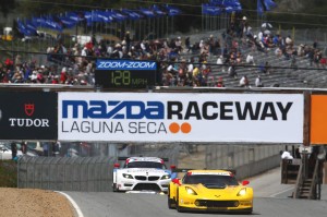 imsa_26760648