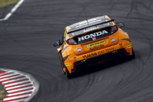 Shedden3