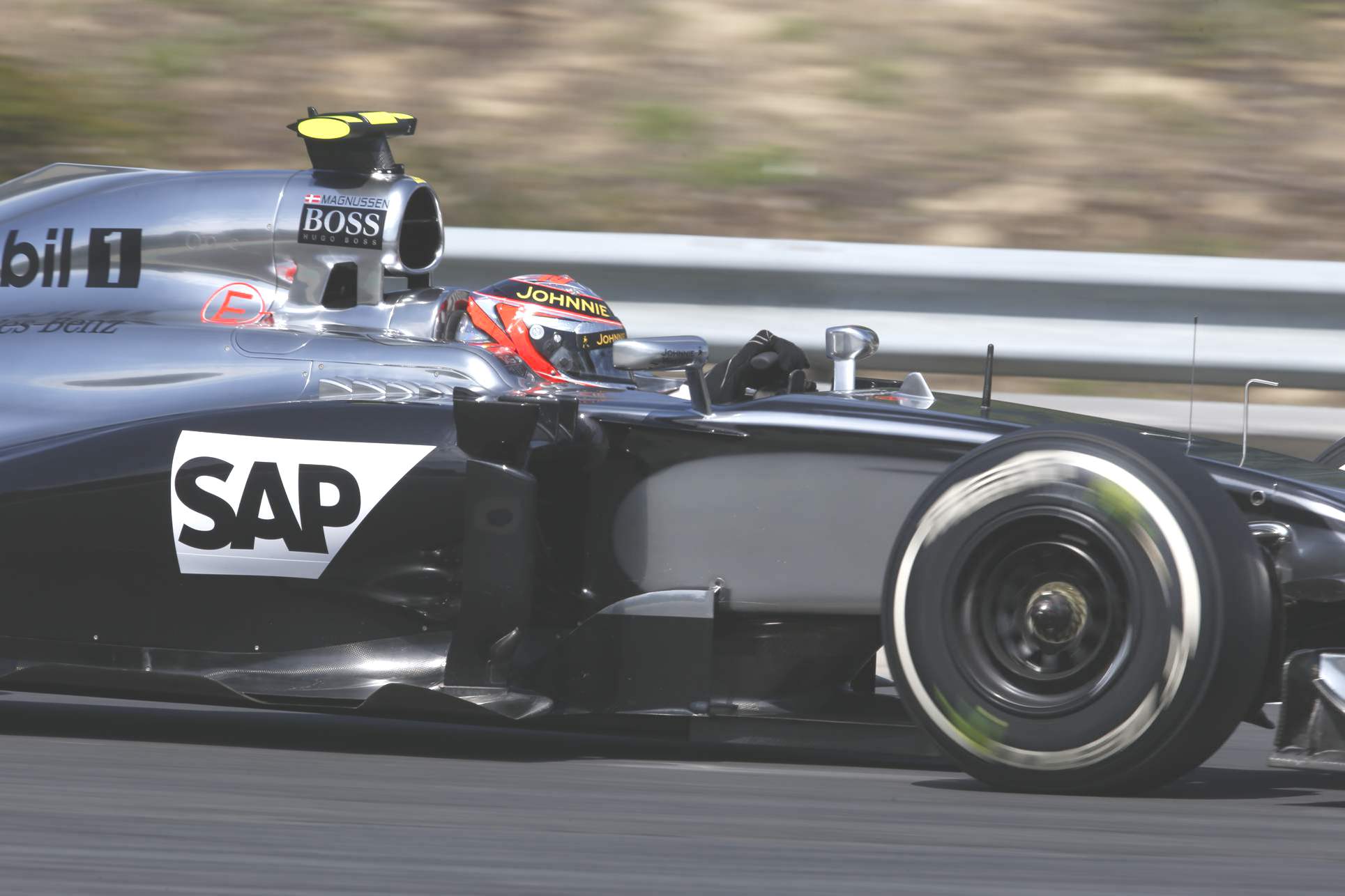 F1_Race_Ungarn_2014_-0004