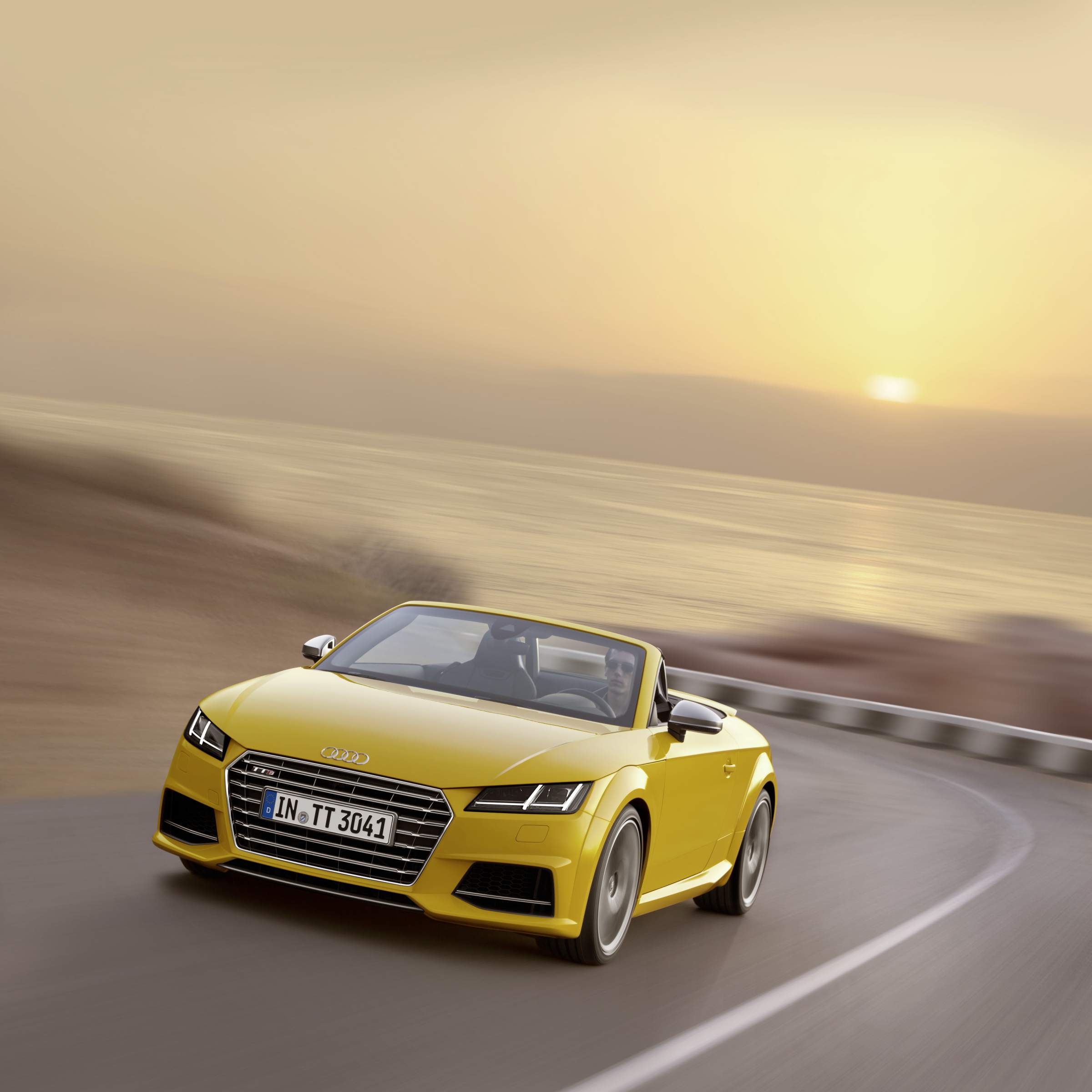 Audi_TTS_2015_28 Audi TTS 2015
