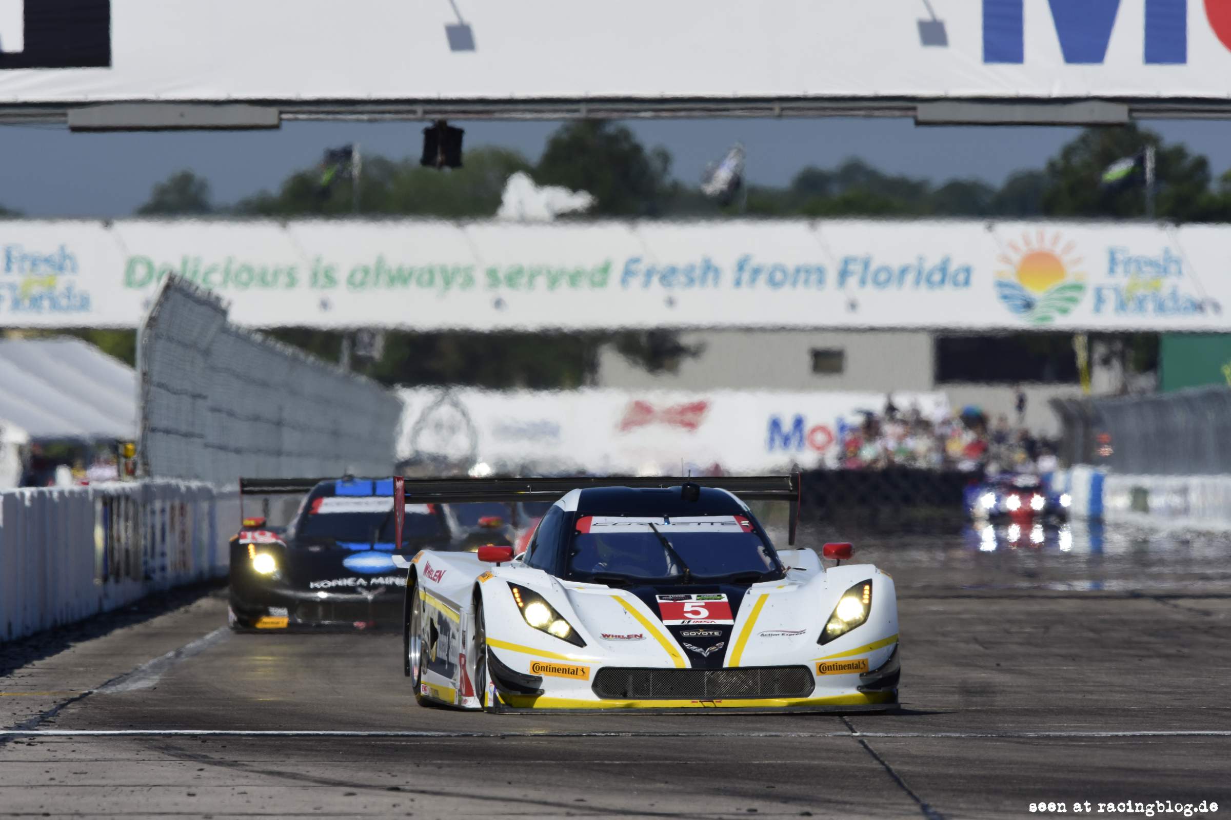 2015 TUDOR United Sportscar Championship Sebring 12 Hours Action Express Corvette Sebring