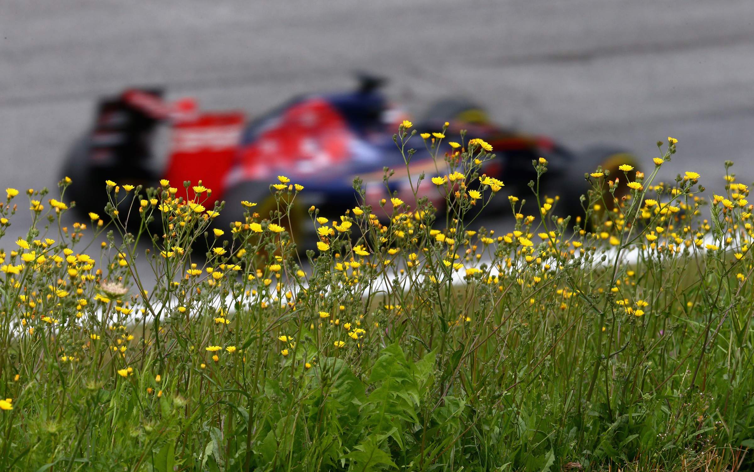 F1_Austria_Race_2015_11 GP von Österreich 2015