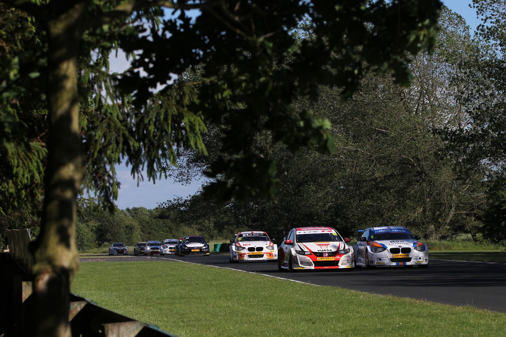 Collardshedden-7