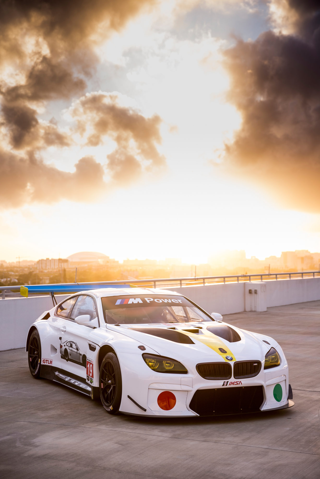 John Baldessari BMW M6 GTLM Art Car #19.