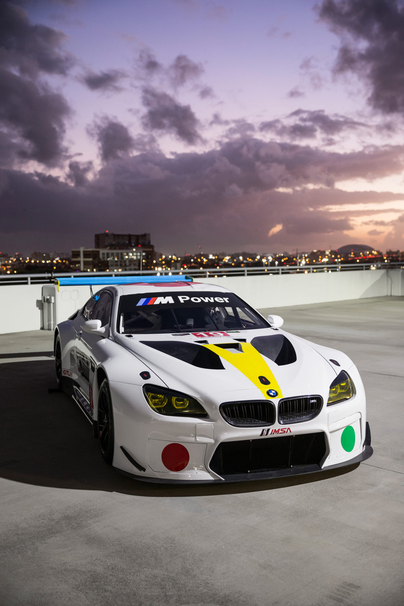 John Baldessari BMW M6 GTLM Art Car #19.