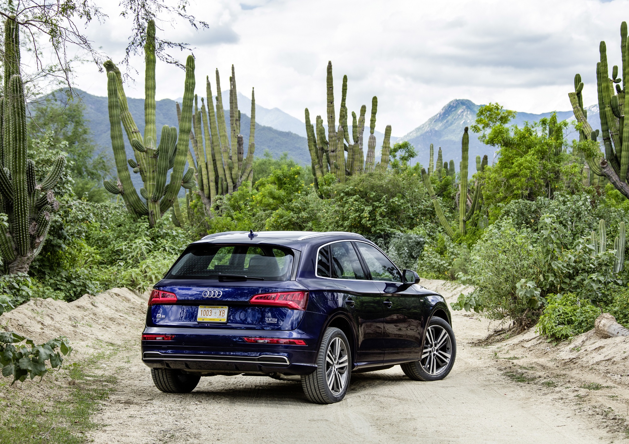 Audi Q5 First Drive in Mexico