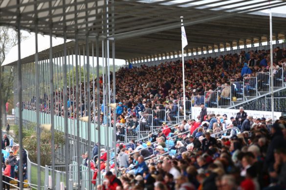 Crowd-1-2