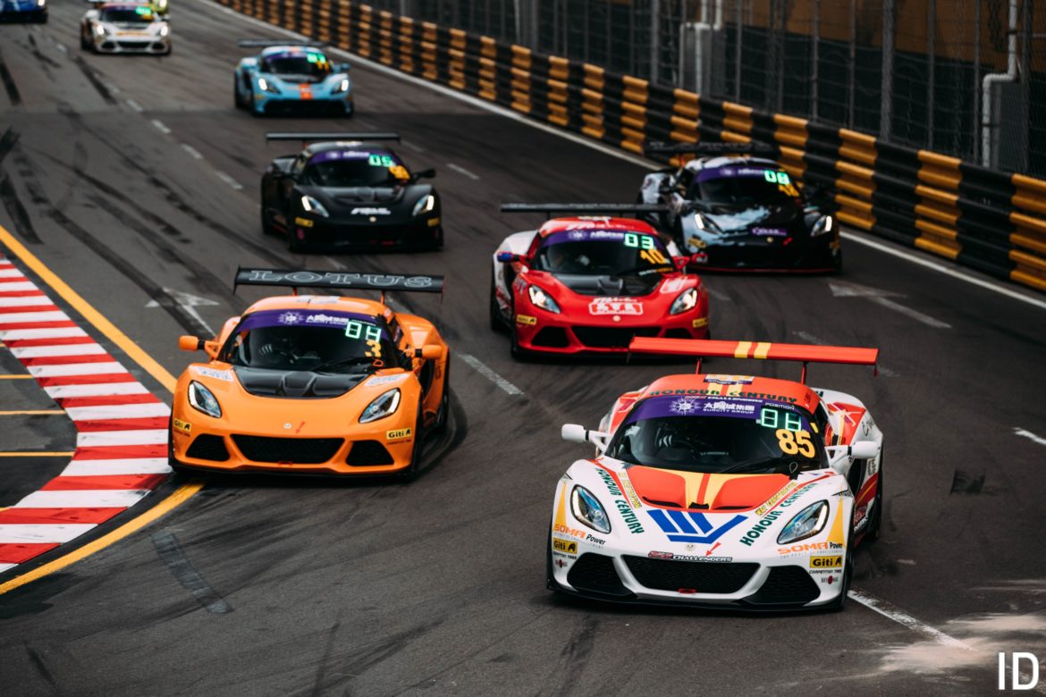 Lotus Cup ID 8
